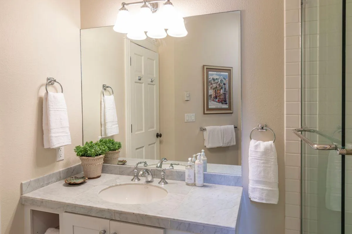 A compact vanity area featuring a single sink, framed artwork, neatly folded towels, and a small potted plant. The space is clean and organized, providing a fresh and practical amenity within the home.